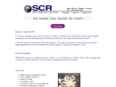 SHAGA CONSULTING & RECRUITING INC