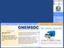 GREATER NEW ENGLAND MINORITY SUPPLIER DEVELOPMENT COUNCIL INC