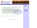 COLLABORATION MANAGEMENT SOLUTIONS