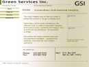 GREEN SERVICES INC