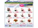 ISLAND TROPICALS