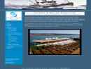 HOCKEMA & WHALEN ASSOCIATES INC