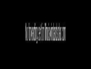 DAVID A. SERAFINI MD LLC
