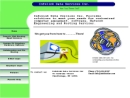 INFOLINK TECHNOLOGIES INC