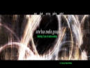 INTERFACE VIDEO SYSTEMS INC