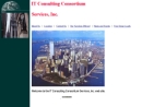 IT CONSULTING CONSORTIUM SERVICES