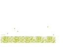 DIXIE GROUP INC, THE