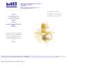 MEDICAL INNOVATIONS INTERNATIONAL INC.