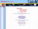 MEGANET SOLUTIONS L.L.C.