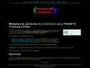 METAPLEXITY ASSOCIATES, INC.