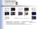 METASYSTEMS GROUP, INC.