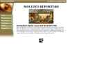 MOLEZZO REPORTERS, INC.