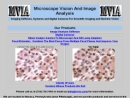 MACHINE VISION AND IMAGE ANALYSIS, INC.