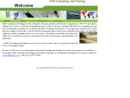 NAFT CONSULTING AND TRAINING CENTER INC