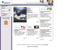 NALCO COMPANY LLC