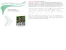 BAEZ, NELSON ASSOCIATES INC