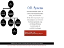 ORGANIZATION DEVELOPMENT SYSTEMS, INC