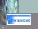 ON TARGET ENTERPRISES FEDERAL, INCORPORATED