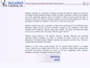 PALLADIAN CONSULTING, INC.