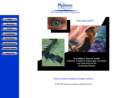 PLATINUM CONSULTANTS INC