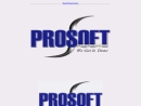 PROFESSIONAL SOFTWARE ENGINEERING,INCORPORATED