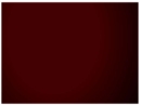 PYRO INDUSTRIAL SERVICES, INC .