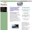 RADIX TECHNOLOGIES INC