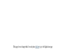 RIGAKU AMERICAS HOLDING, INC