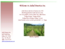 Salud America, Inc.