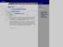 SYSTEMS CONSULTING CONSORTIUM INC