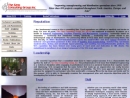 SIMS CONSULTING GROUP INC