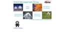 Smith Management Group
