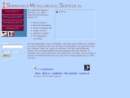 SPRINGFIELD METALLURGICAL SERVICES, INC