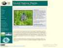 SOUND NATIVE PLANTS, INC.
