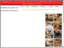 LINOLEUM & CARPET CITY, INC.