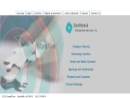 SYNTHESIS PROFESSIONAL SERVICES, INC.