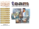 T.E.A.M. INC