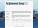 TEECOR GROUP, INC, THE