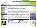 TELESTRATEGY LLC