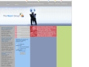 NASIR GROUP, LLC, THE