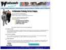 WABASH SOLUTIONS, INC.