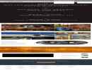 WALTER SURFACE TECHNOLOGIES INCORPORATED