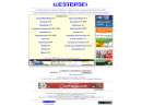 WARNER ELECTRONIC SYSTEMS TEAM
