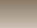 WOODLYN INC