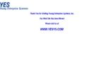 YOUNG ENTERPRISE SYSTEMS INC