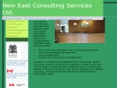 New East Consulting Services Ltd.