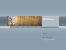 White Lion Internet Agency